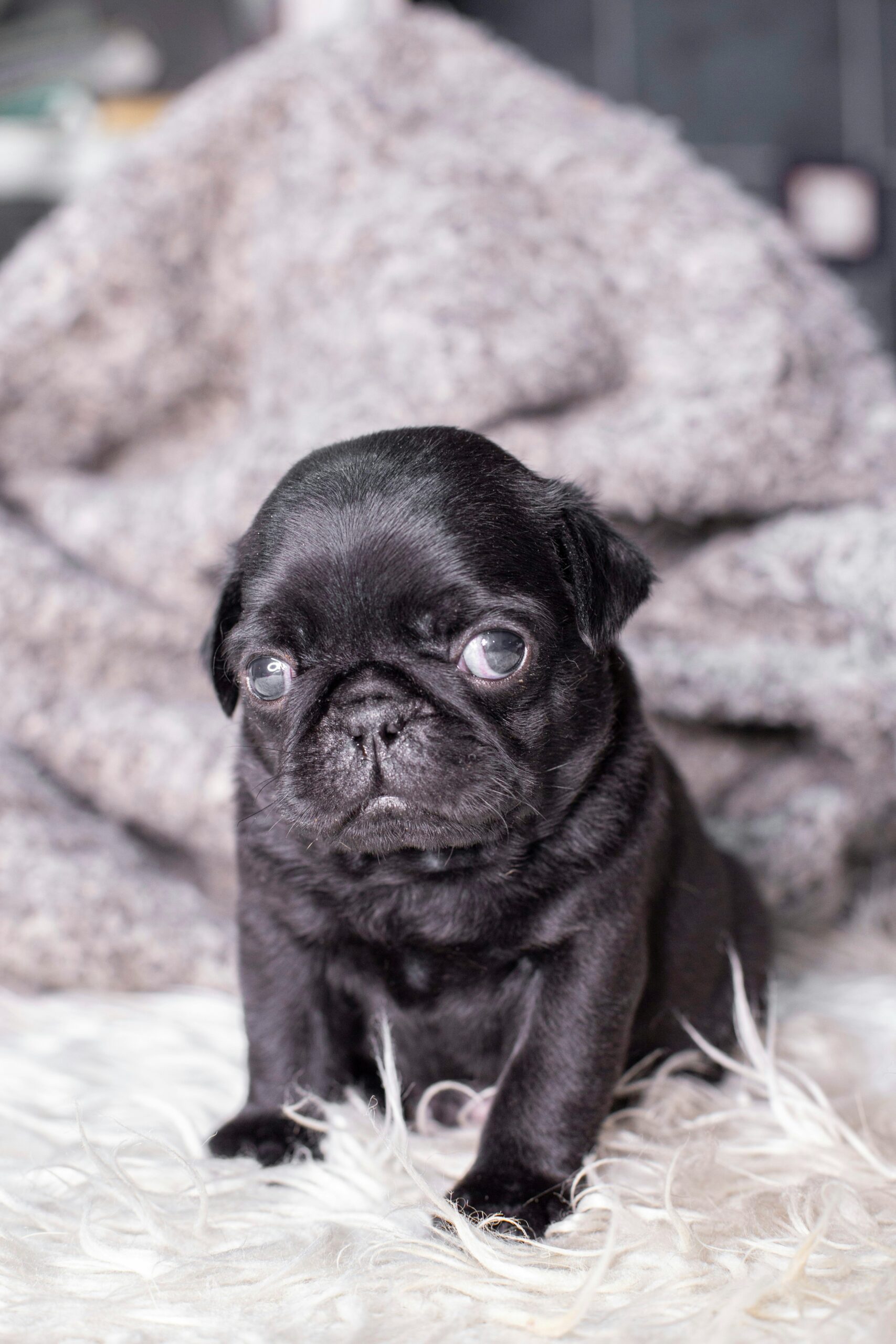 Hello world!